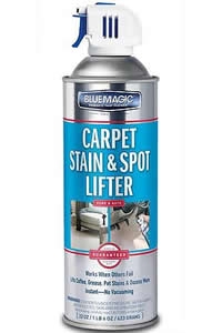 22oz. Carpet Stain and Spot Lifter
