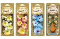 Scented Necklace Air Freshener