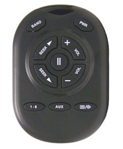 Delphi Wireless IR Remote Control
