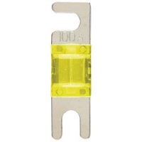 100 Amp Mini ANL Fuses - 2-Pack