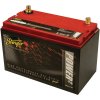2150-AMP Battery With Metal Case