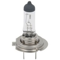 H7 Halogen Auto Bulb