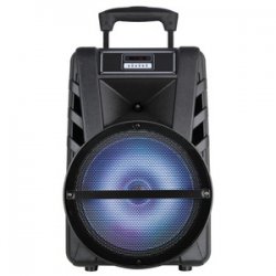 15-inch Professional Bluetooth Speaker