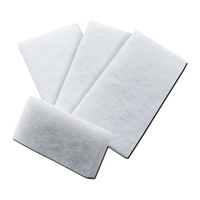 Glass Scrubbing Pads