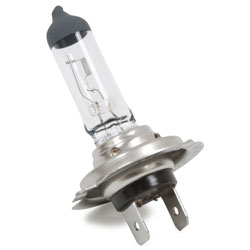 (image for) H7 Halogen Auto Bulb